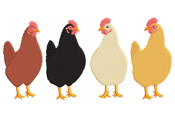 Colorful Chicken: A Designer’s Real-World Review